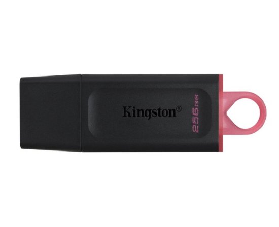 (image for) Kingston DTX/256GB