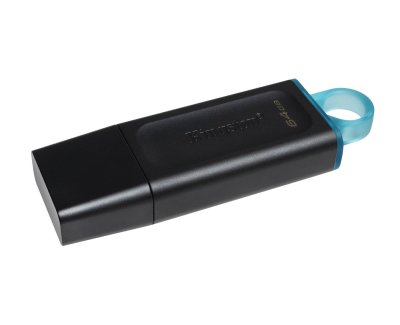 (image for) Kingston DTX/64GB