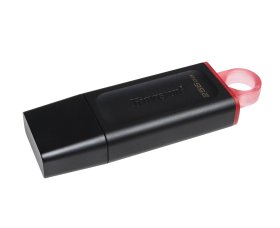 Kingston DTX/256GB