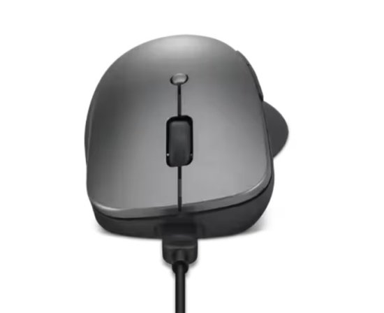 (image for) Lenovo Professional Bluetooth Rechargeable Mouse