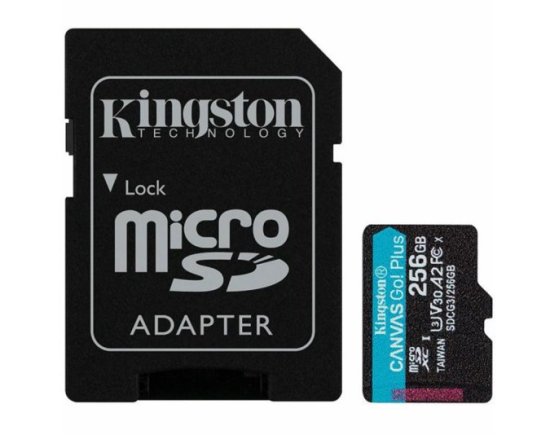 (image for) Kingston Canvas Go! plus microSD 256GB