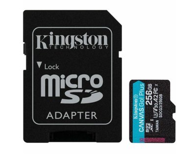 (image for) Kingston Canvas Go! plus microSD 256GB