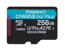 Kingston Canvas Go! plus microSD 256GB