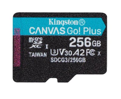 (image for) Kingston Canvas Go! plus microSD 256GB