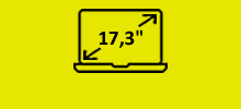 Monitor 17.3"